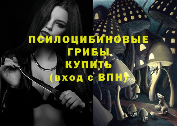 метадон Аркадак