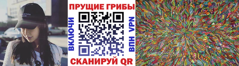 Псилоцибиновые грибы MAGIC MUSHROOMS  где купить наркоту  Мирный 